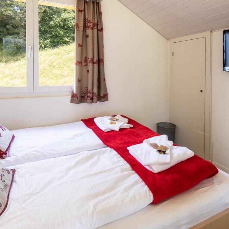 Chalet Hannegg Penthouse - Penthouse-Apartment - 24