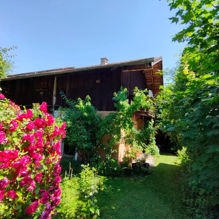 Gemütliche Ferienwohnung mit Kamin und Garten - Appartement 1 Chambre - 1