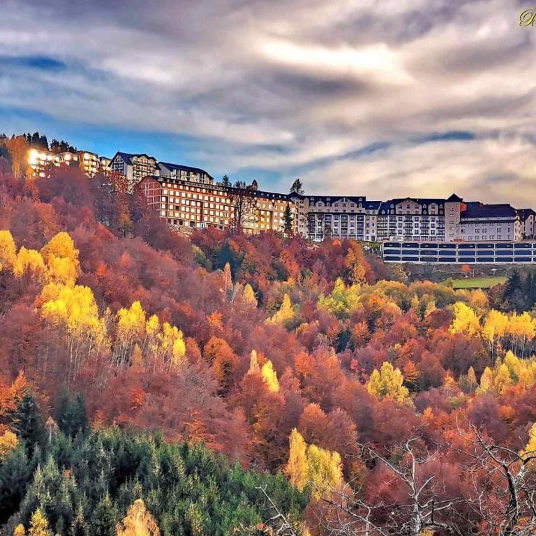 KopLux Milmari Spa - One-Bedroom Apartment - 22
