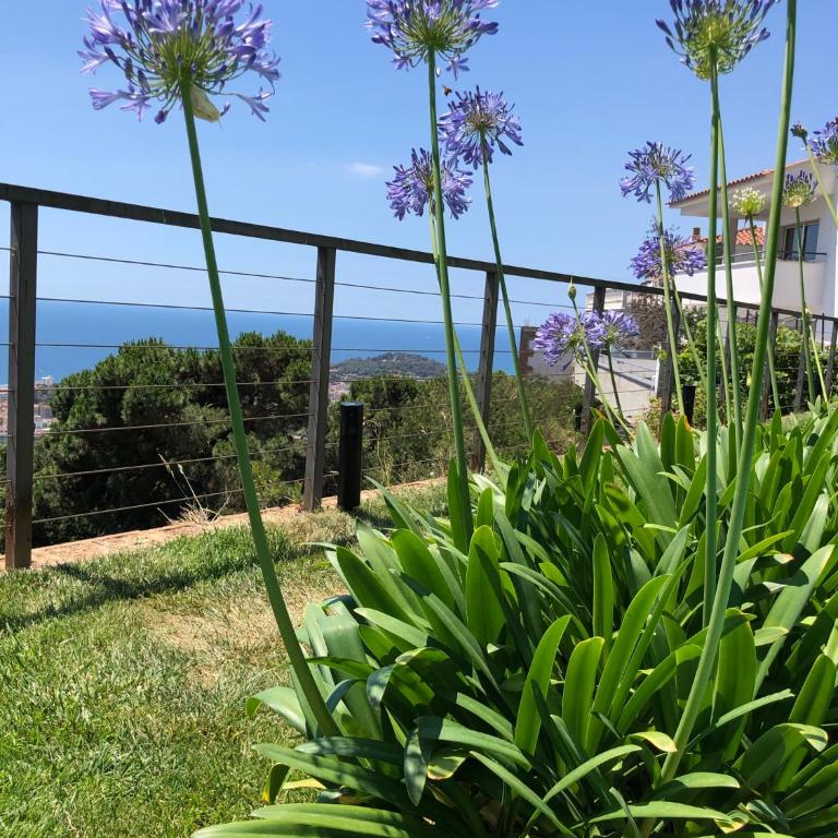 Villa Oasis Costa Brava - Villa con piscina privada - 27