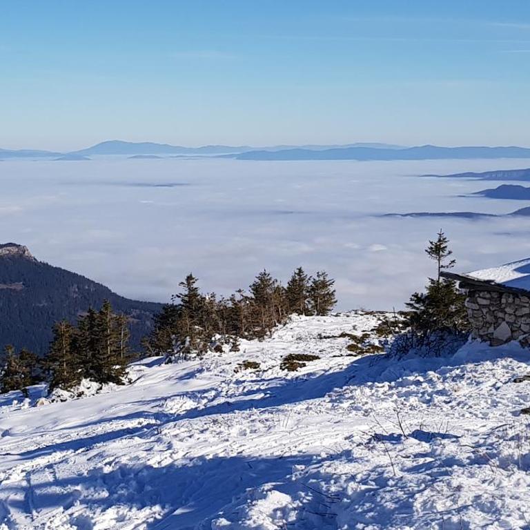 Olimpijska Kuća Jahorina - Family Studio - 13