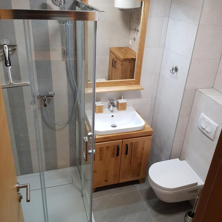 Olimpijska Kuća Jahorina - Family Studio - 25