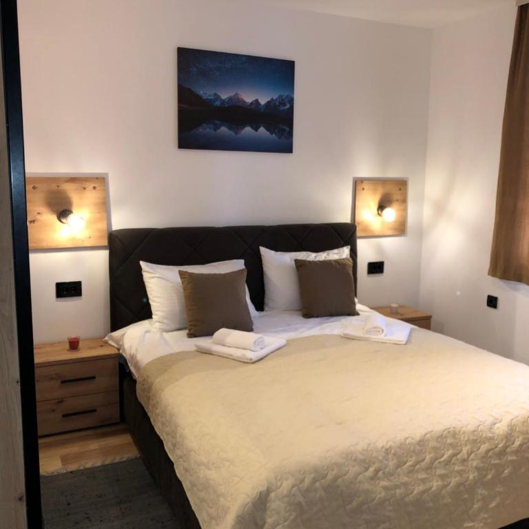 Vila Planinsko Blago Luxury Apartmans - Apartman sa 1 Spavaćom Sobom - 18