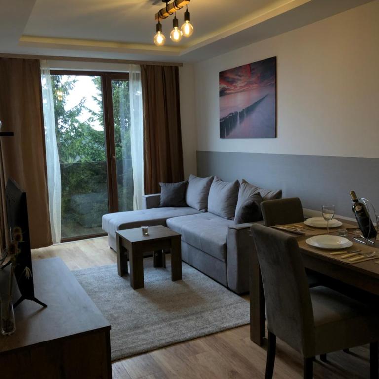Vila Planinsko Blago Luxury Apartmans - Apartman sa 1 Spavaćom Sobom - 7