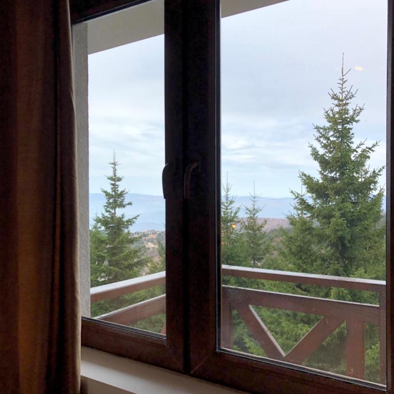 Vila Planinsko Blago Luxury Apartmans - Apartman sa 1 Spavaćom Sobom - 23