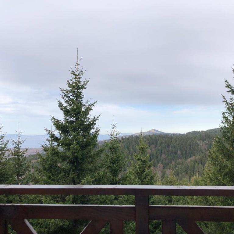 Vila Planinsko Blago Luxury Apartmans - Apartman sa 1 Spavaćom Sobom - 42