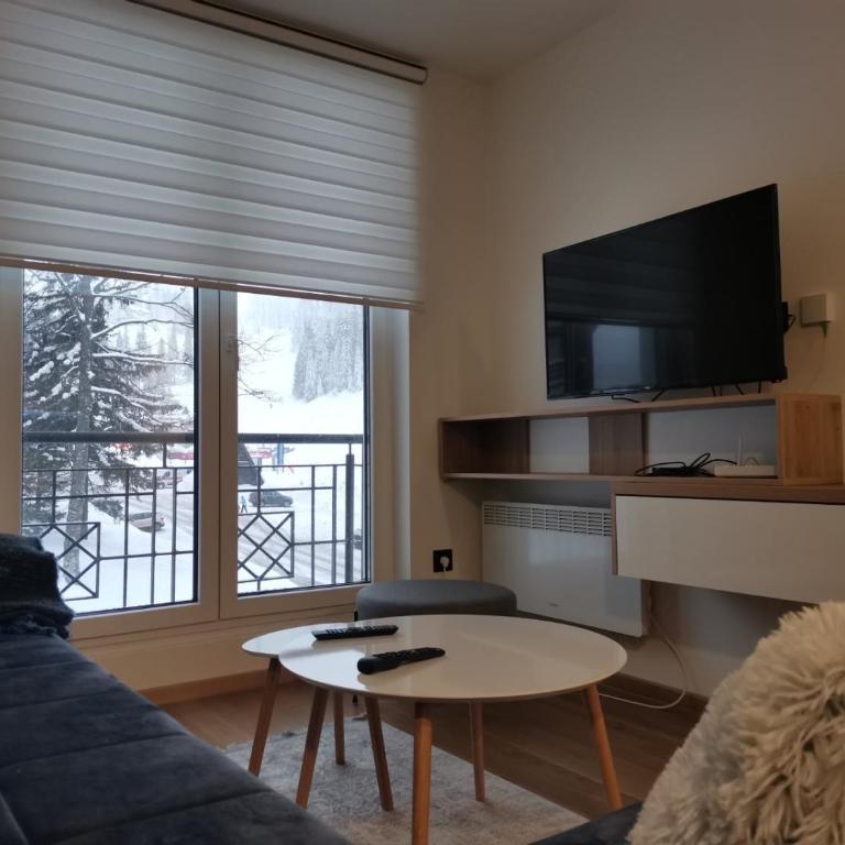Apartment Popović, Jahorinska vila - Apartman sa 1 Spavaćom Sobom - 3
