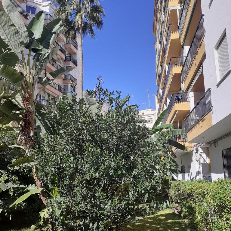 Albaida II Bajo G Apartamento Nerja - Apartamento de 1 dormitorio - 26