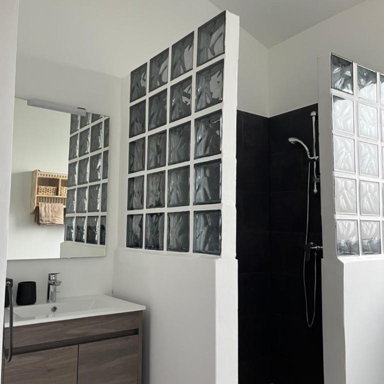 LA BERGE - Appartement 1 Chambre - 4