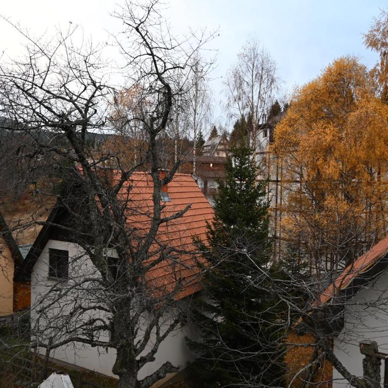Apartman Vukašin - Two-Bedroom Apartment - 39