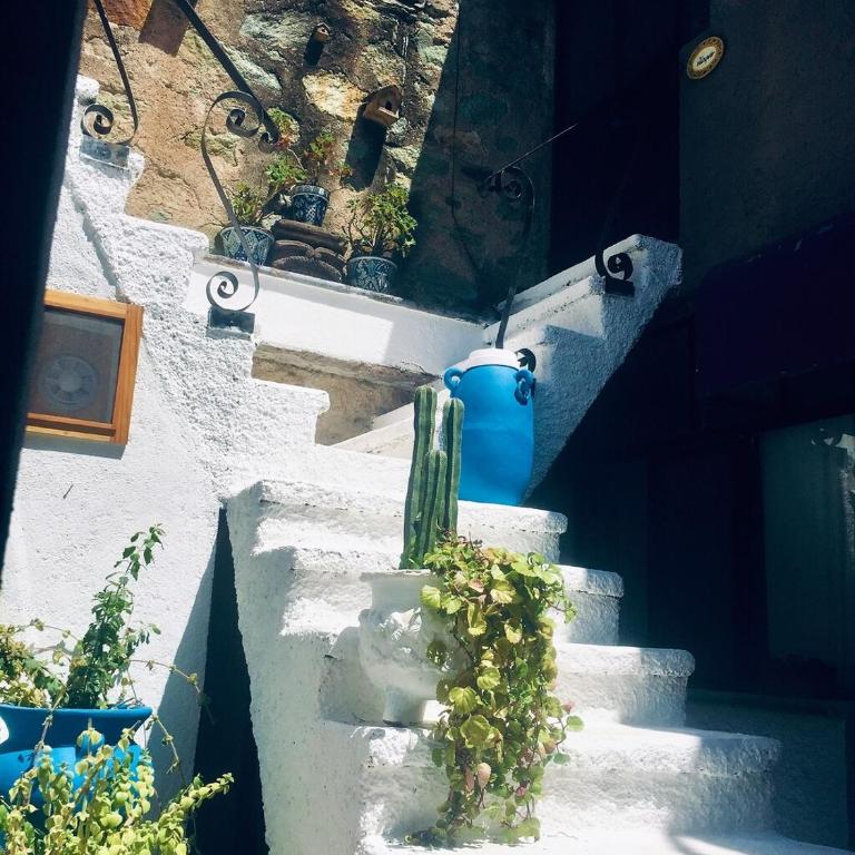 Ex Hacienda Hostal - Standard Double Suite - 3