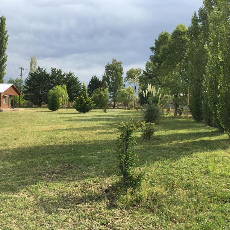 El Sauce - Casa de 2 dormitorios - 7