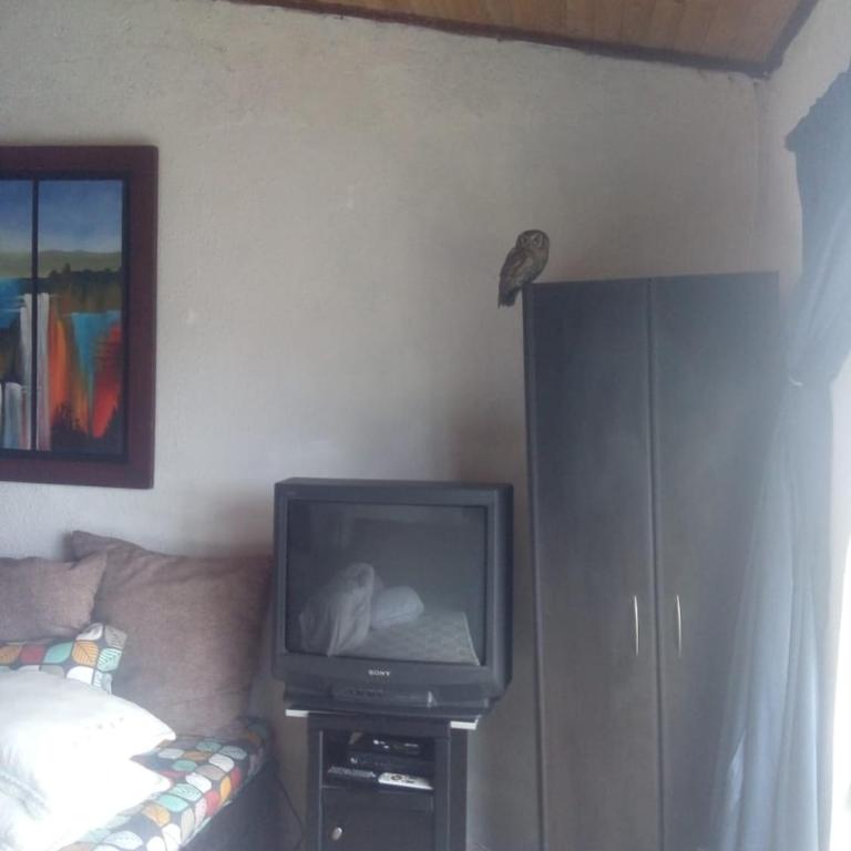 San Rafael de Guaquira II - One-Bedroom House - 23