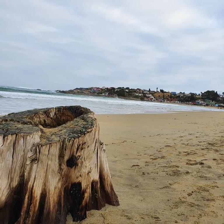 Descanso frente al mar - Apartamento de 3 dormitorios - 20