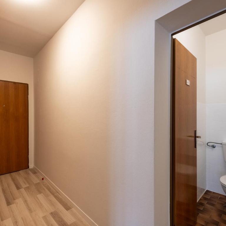Wohhhlfühl Appartement im Zentrum Graz - Apartment mit 1 Schlafzimmer - 11