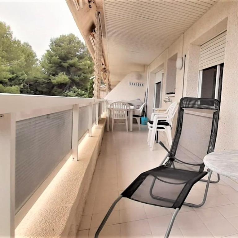 Sirena - Apartamento de 2 dormitorios - 12