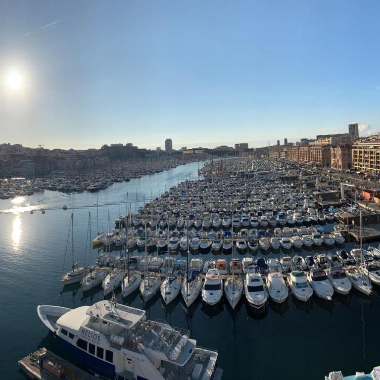Ravissant studio en plein centre de Marseille - Appartement 1 Chambre - 13