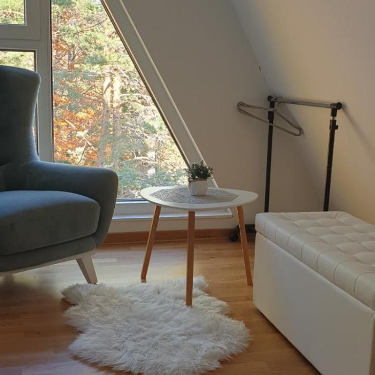 Apartman Divcigora Sokic - Apartman sa 1 Spavaćom Sobom - 25