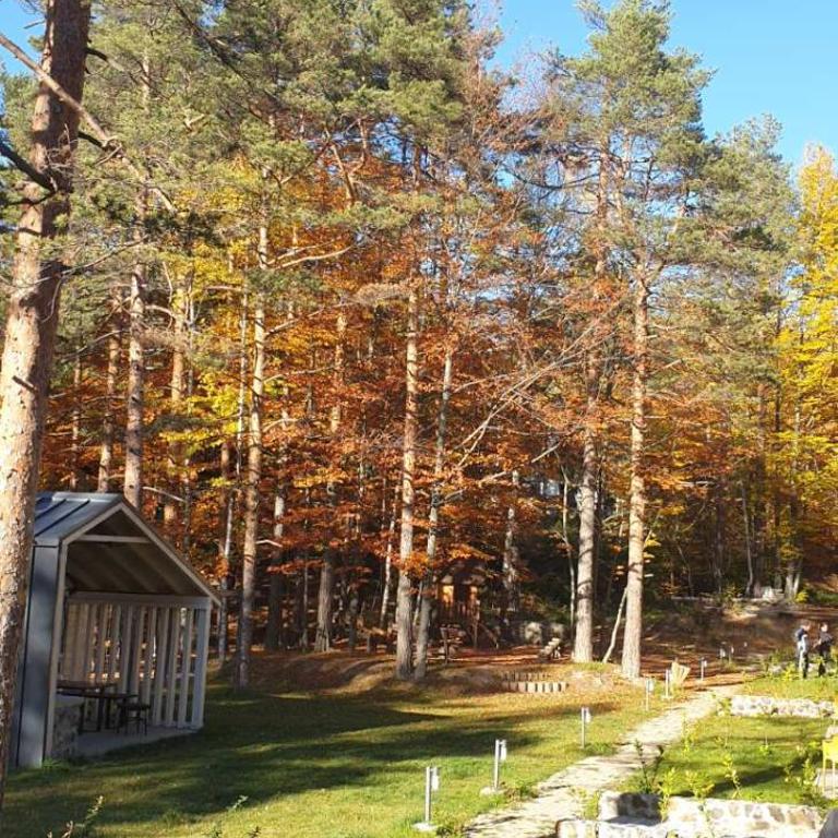 Apartman Divcigora Sokic - Apartman sa 1 Spavaćom Sobom - 15