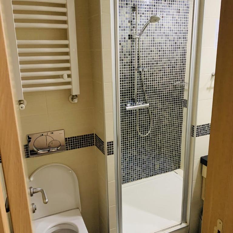 Apartmani Kopaonik Centar Maglic - Studio Apartment - 4