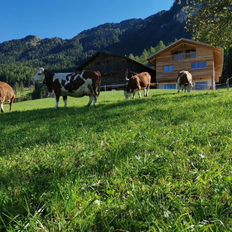 Ritschhof - Appartamento con Balcone - 3