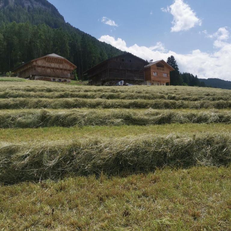 Ritschhof - Appartamento con Balcone - 2