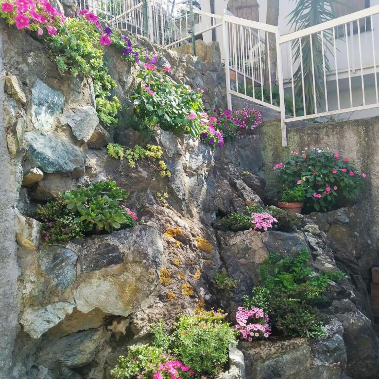 La Roccia Fiorita Appartamento con giardino e Jacuzzi - Casa con 1 Camera da Letto - 25