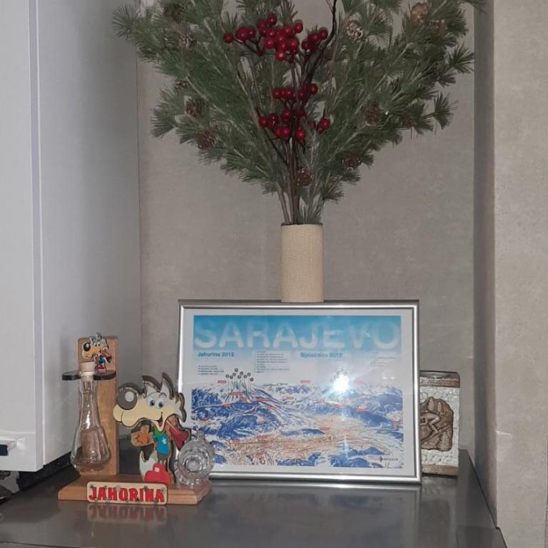 Jahorina A408 Olimpiska KUCA - One-Bedroom Apartment - 15