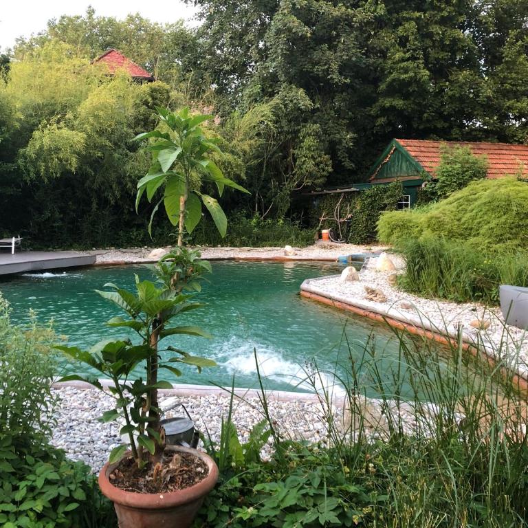 Haus mit Sauna und privatem Badeteich in Anif bei Salzburg - Haus mit 4 Schlafzimmern - 2
