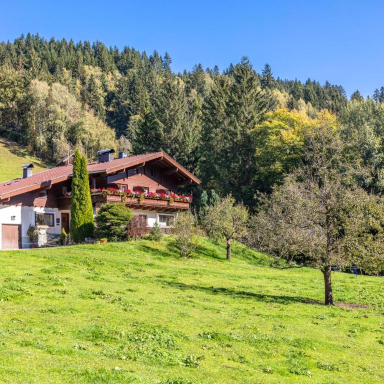 Ferienhaus Berger - Apartment mit 1 Schlafzimmer - 8