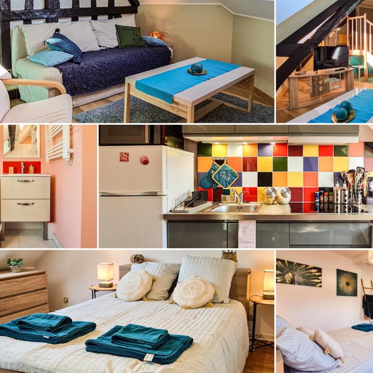 Cosy'Appart - LE GERVAIS - Appartement 1 Chambre - 5