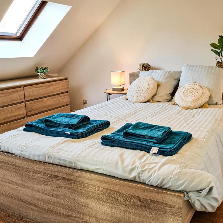 Cosy'Appart - LE GERVAIS - Appartement 1 Chambre - 11