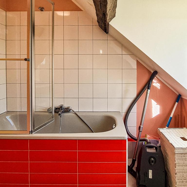 Cosy'Appart - LE GERVAIS - Appartement 1 Chambre - 13