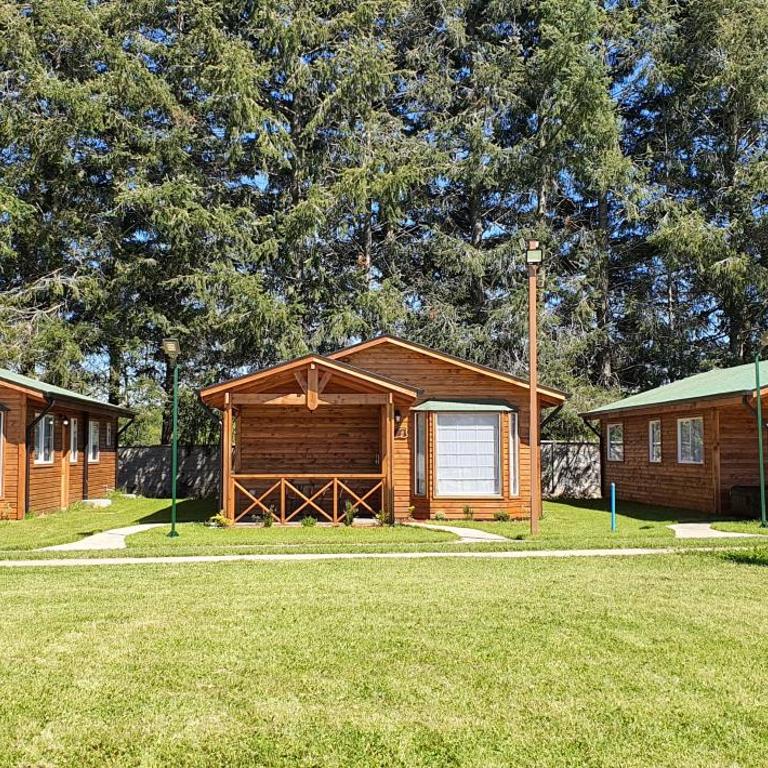 Centro Turístico Los Copihues de Villarrica - Casa de 2 dormitorios - 2