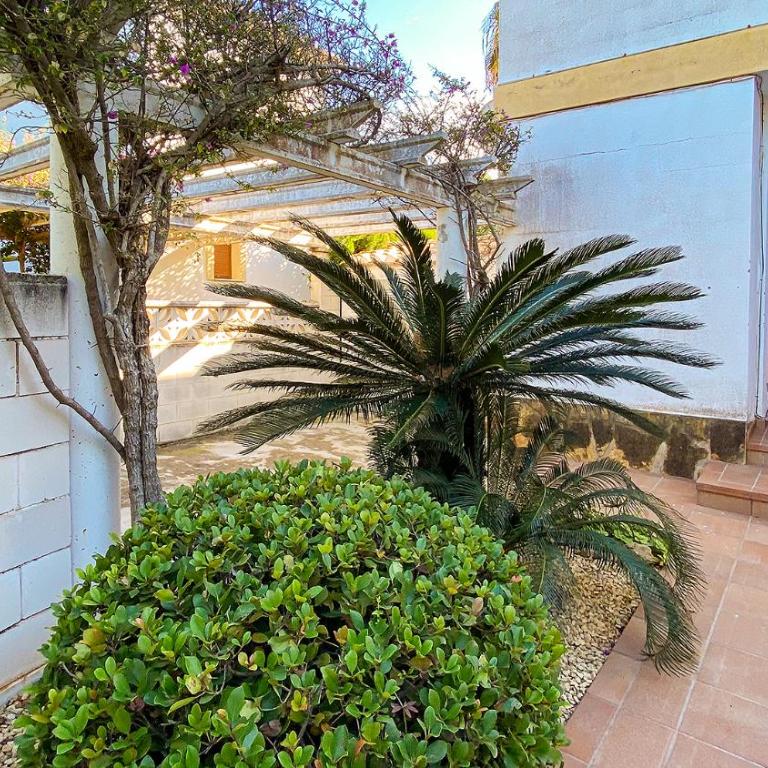 Villa El Palmar II - Villa de 3 dormitorios - 30