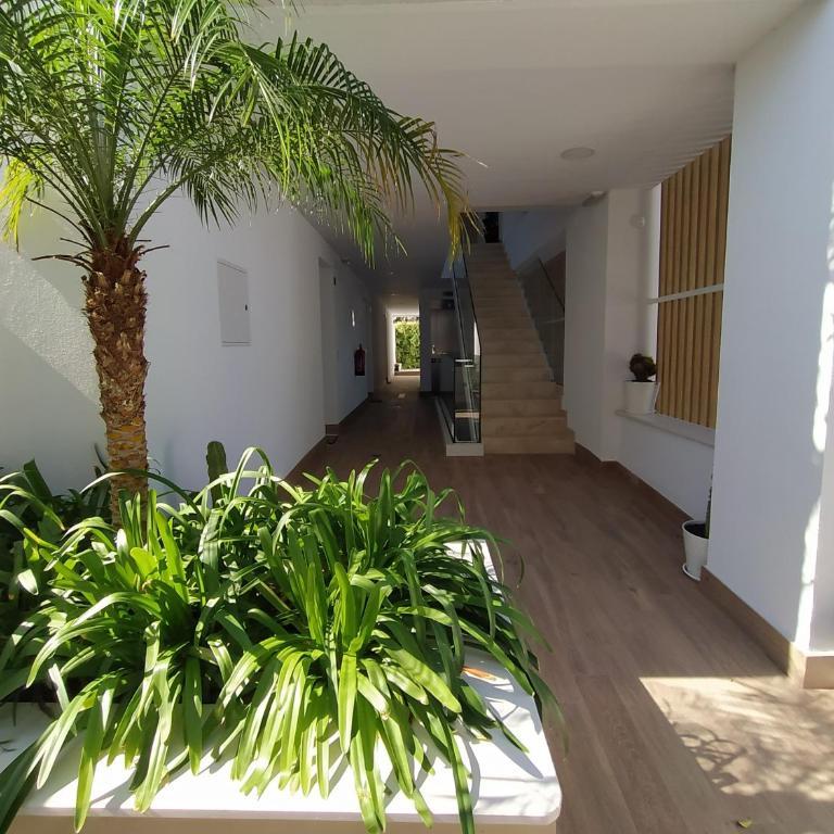 APARTAMENTO TERRAZAS DEL MAR, PISCINA PRIVADA - Apartamento de 1 dormitorio - 10