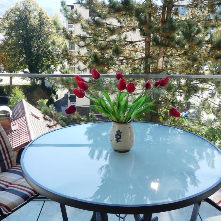 THE VIEW - Modern Panorama Residence - Apartment mit Blick auf die Berge - 12