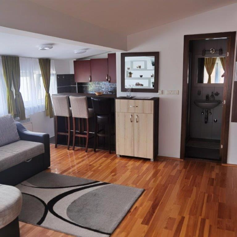 APARTMENTS FOKA & SPA - 600m from Gondola ski lift - King Studio with Sofa Bed - 1