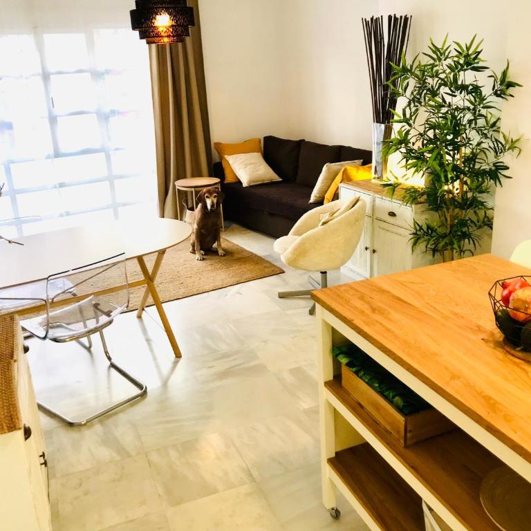 Centro Malaga - Apartamento - 10