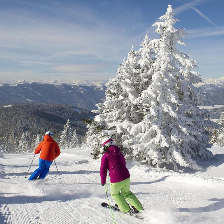 Alpine Lifestyle Apartment 20 I Gerlitzen-Ossiachersee I Alpe Maritima - Two-Bedroom Apartment - 29