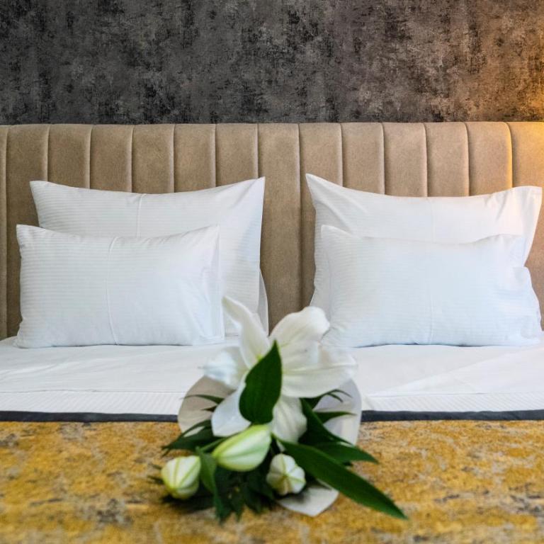Hotel Pasha - Deluxe Double Room with Extra Bed - 1