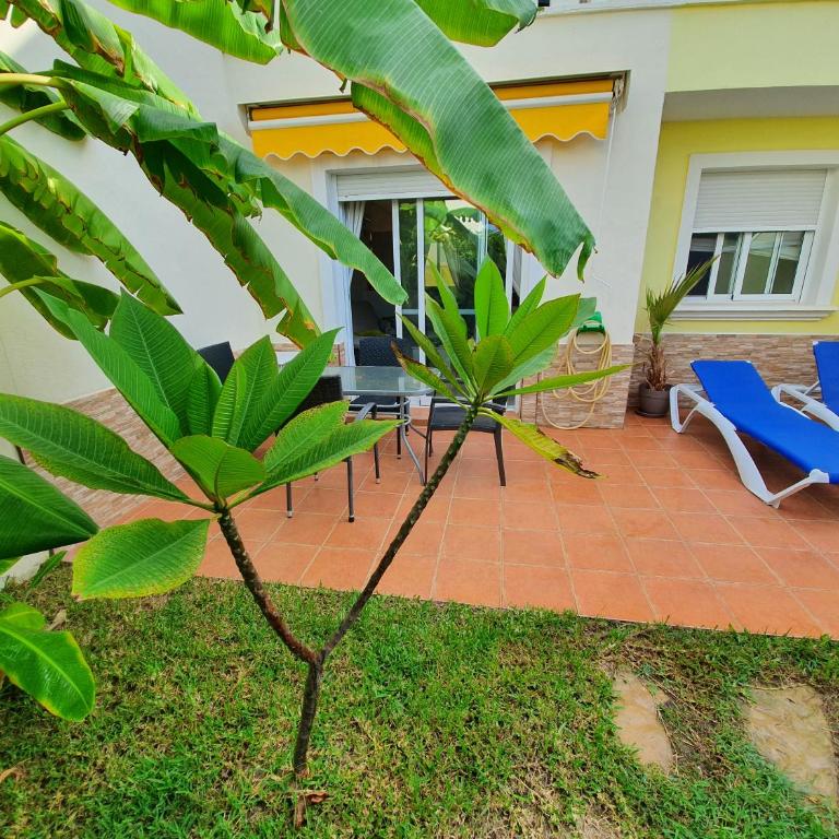 casa luxury nudista - Apartamento - 35