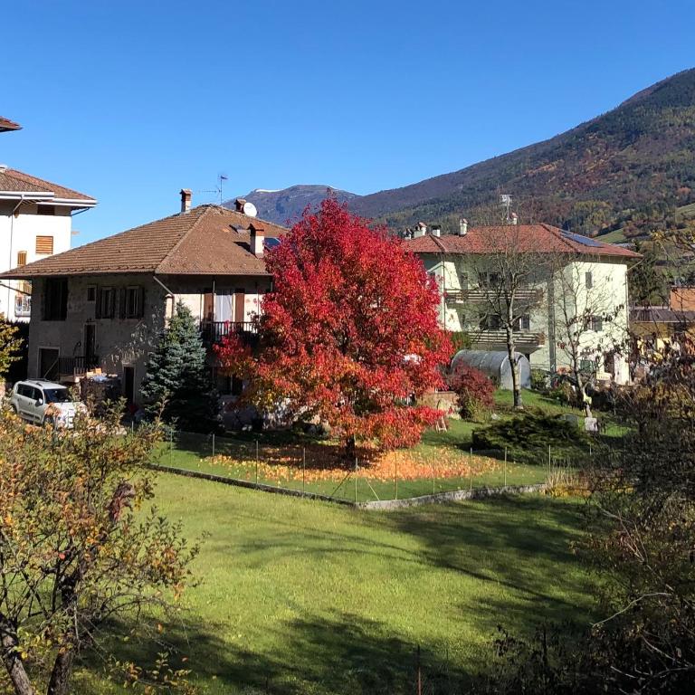 Appartamento Trentino II - Apartamento de 1 dormitorio - 26