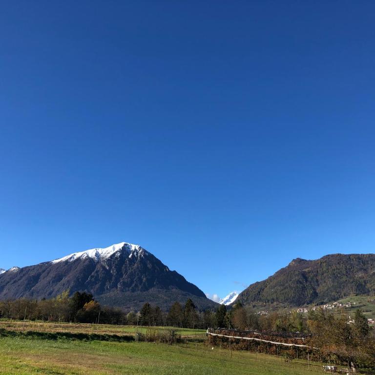 Appartamento Trentino II - Apartamento de 1 dormitorio - 25