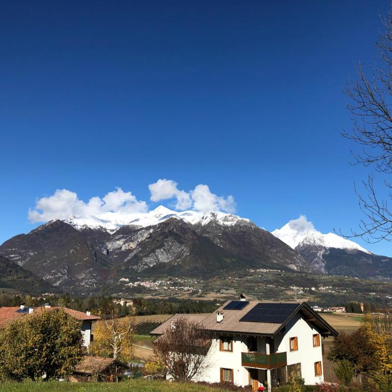 Appartamento Trentino II - Apartamento de 1 dormitorio - 27