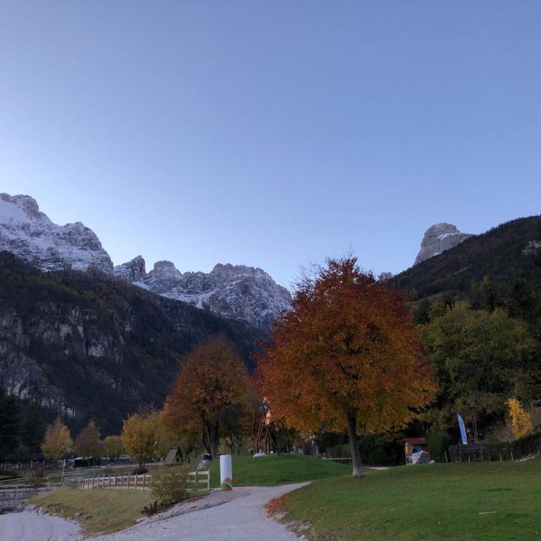 Appartamento Trentino II - Apartamento de 1 dormitorio - 32