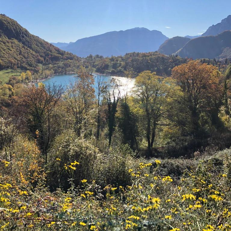 Appartamento Trentino II - Apartamento de 1 dormitorio - 28