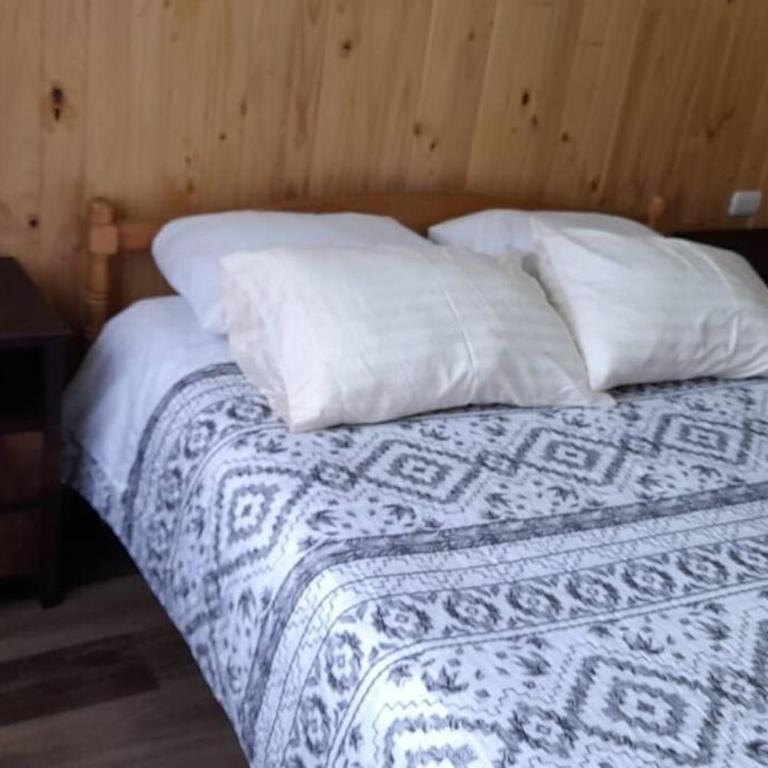 Cabaña Volcán Hornopirén - Three-Bedroom House - 7