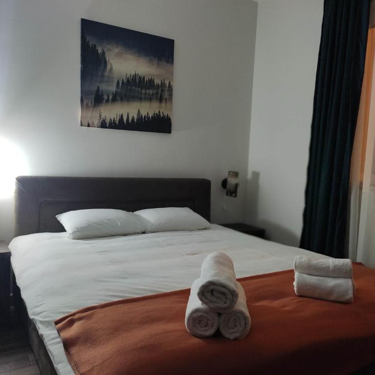 Apartmani Borova Iglica Divčibare - Deluks Dvokrevetna Soba sa Bračnim Krevetom/Zasebnim Krevetima i Pogledom na Planinu - 6