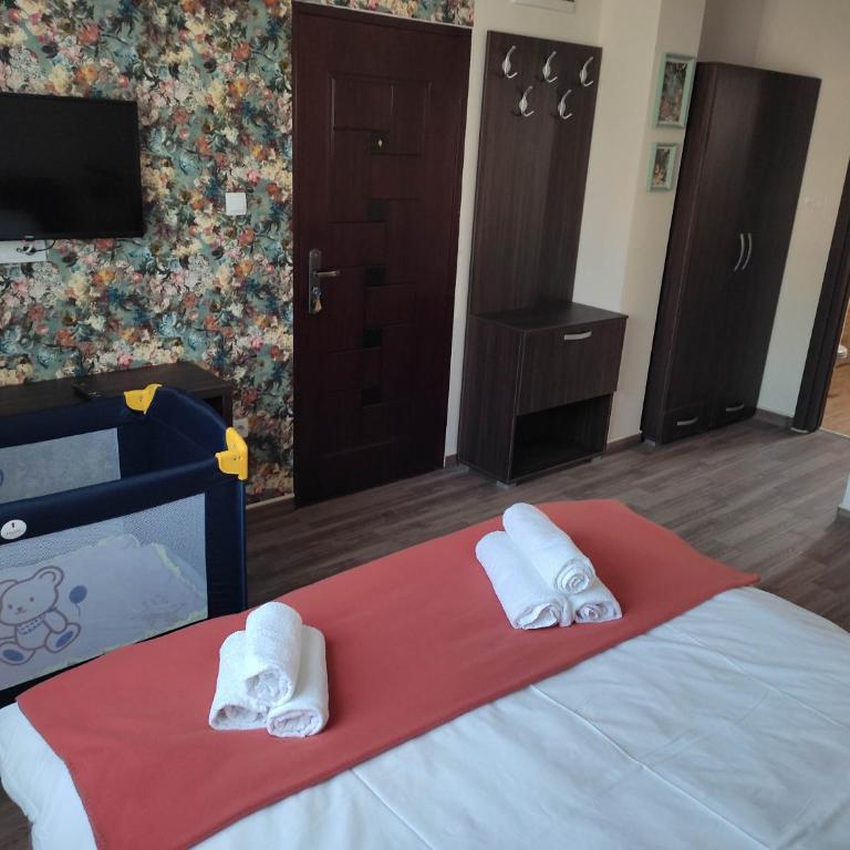 Apartmani Borova Iglica Divčibare - Deluks Dvokrevetna Soba sa Bračnim Krevetom/Zasebnim Krevetima i Pogledom na Planinu - 7
